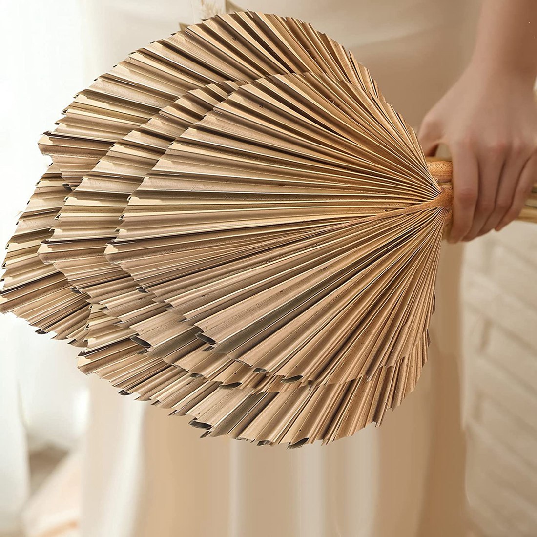 Palm Leaf Dried - 5 uds hojas de palma secas