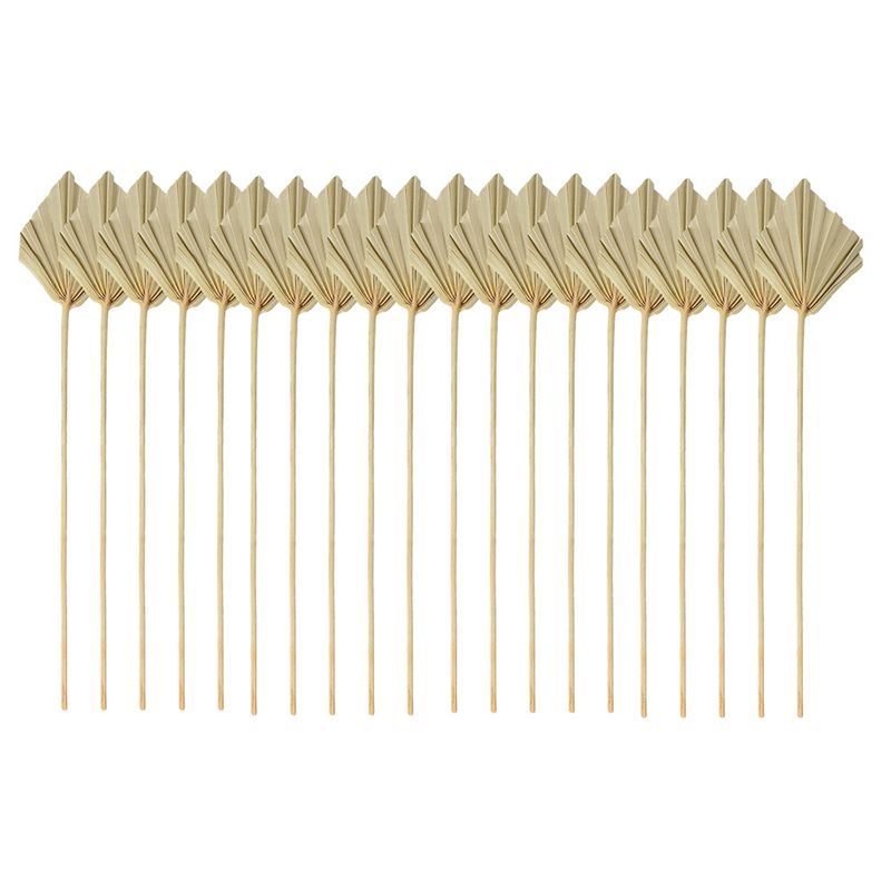 Palm Leaf Dried - ABYN-Boho, Varillas de Palma Secas, Pequeñas