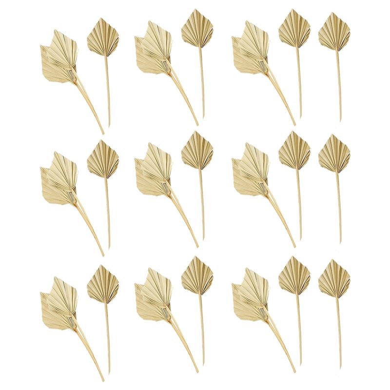 Palm Leaf Dried - A36T-30 Piezas de Palas de Palma