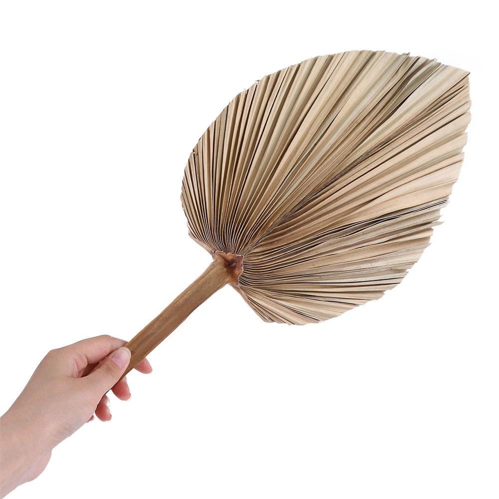Palm Leaf Dried - Hojas de palma natural bohemias con