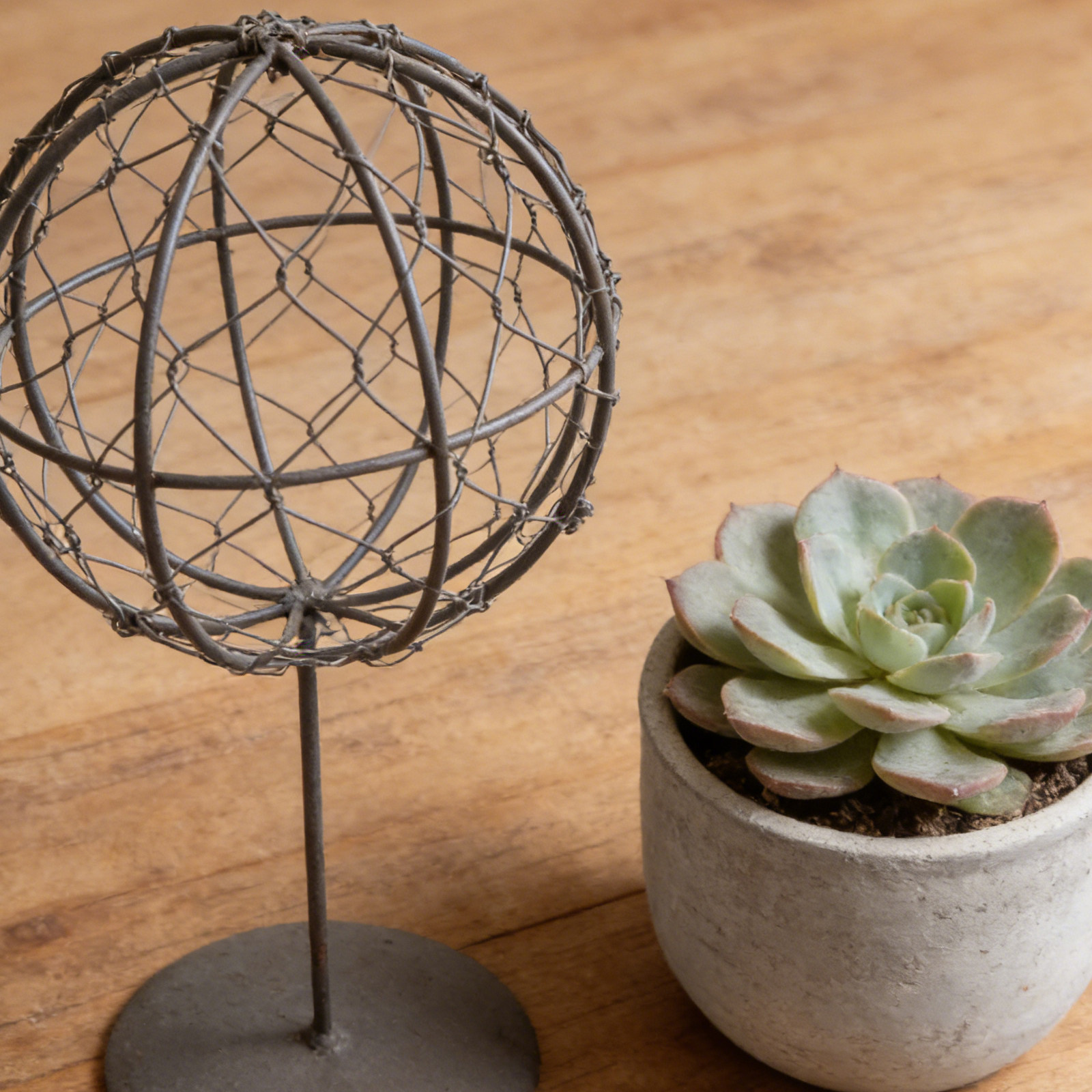 Soporte de hierro para corona  - Wreath Form Wire reseña y precio