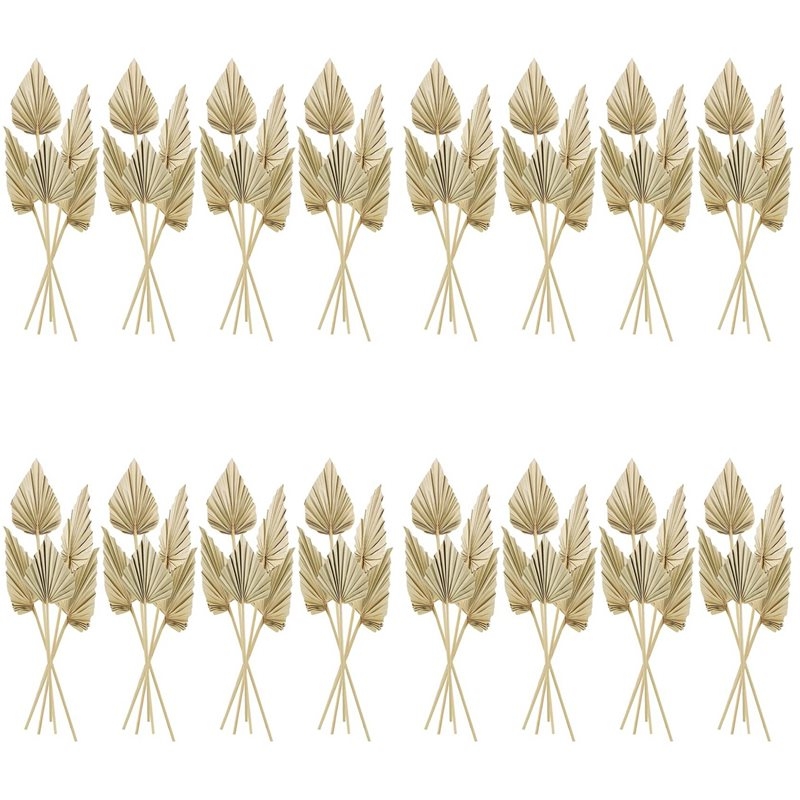 80 Piezas de Hojas de Palma Se - Palm Leaf Dried reseña y precio