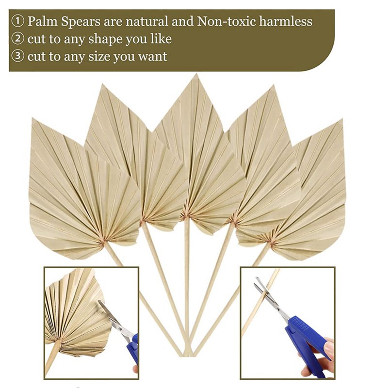80 Piezas de Hojas de Palma Se - Palm Leaf Dried reseña y precio