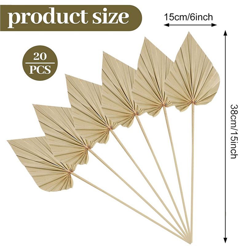 80 Piezas de Hojas de Palma Se - Palm Leaf Dried reseña y precio