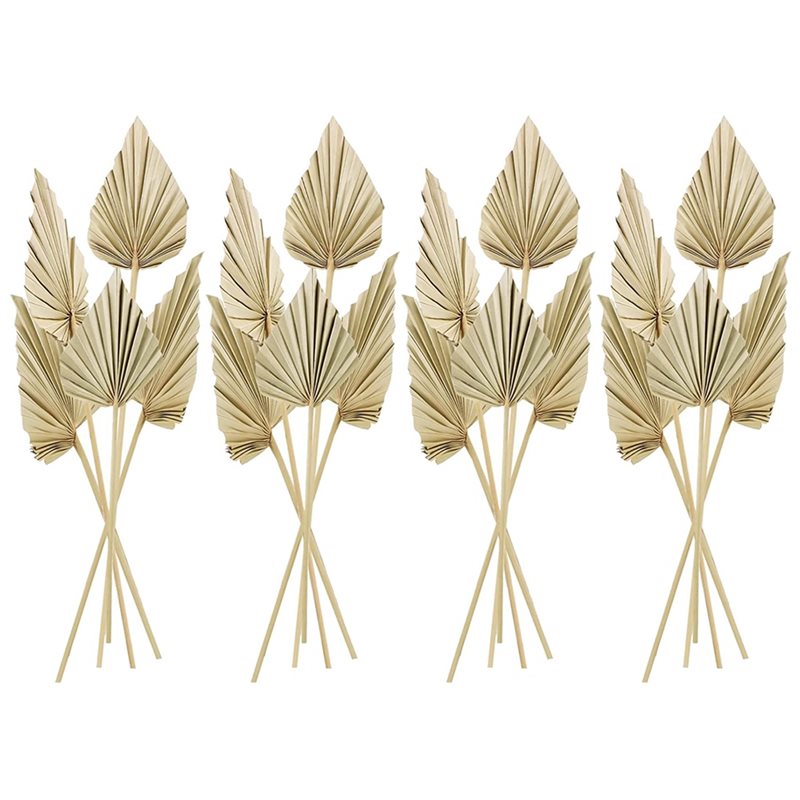 80 Piezas de Hojas de Palma Se - Palm Leaf Dried reseña y precio
