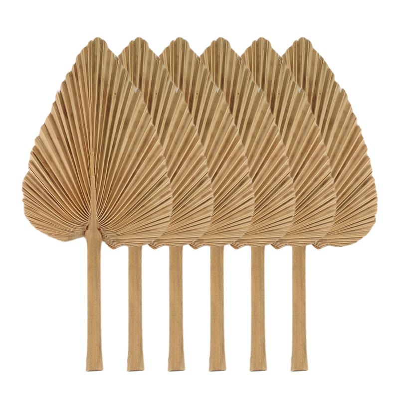 AT84-6PCS Hojas de palma secas - Palm Leaf Dried reseña y precio