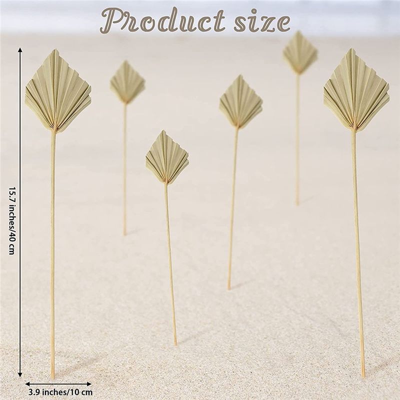 AS60-30 Piezas de Palas de Pal - Palm Leaf Dried reseña y precio