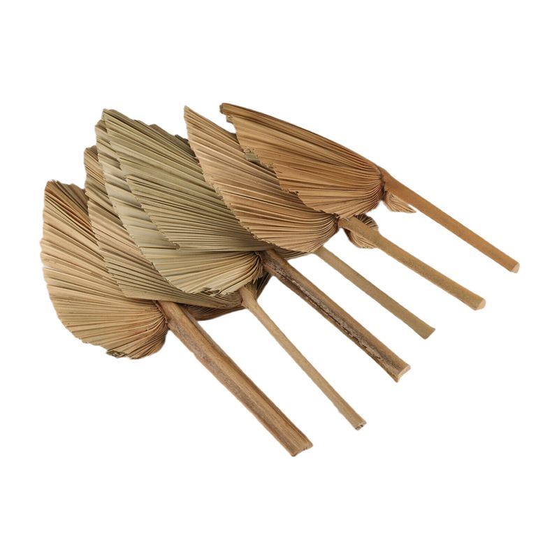 ABKO-6PCS Hojas de palma secas - Palm Leaf Dried reseña y precio