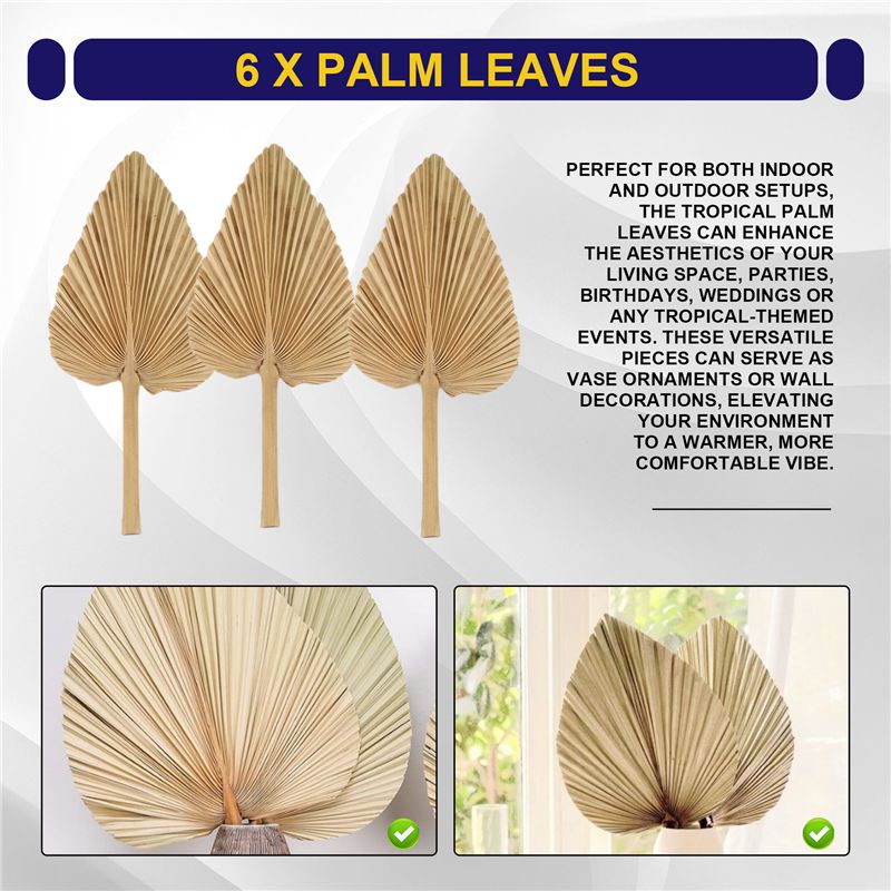ABKO-6PCS Hojas de palma secas - Palm Leaf Dried reseña y precio