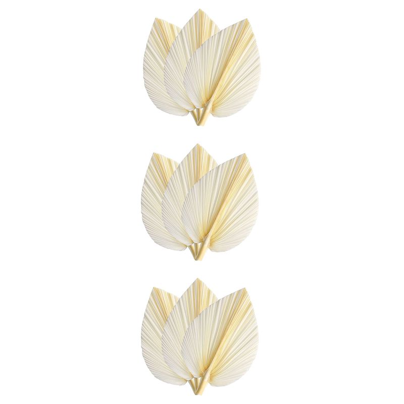 Hojas de Palma Secas Blancas G - Palm Leaf Dried reseña y precio