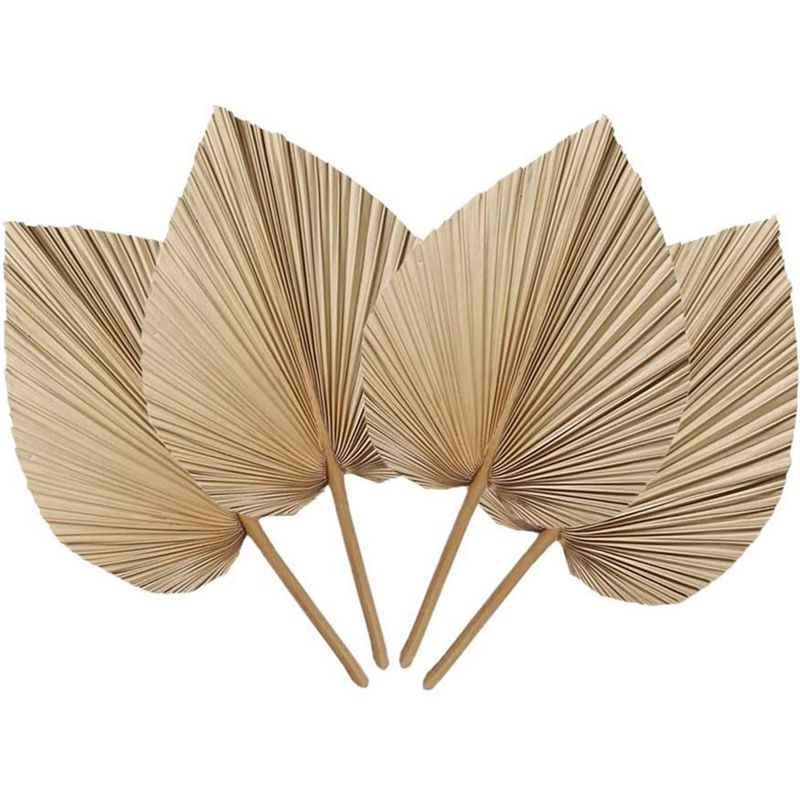 4 Hojas de Palma Naturales Sec - Palm Leaf Dried reseña y precio