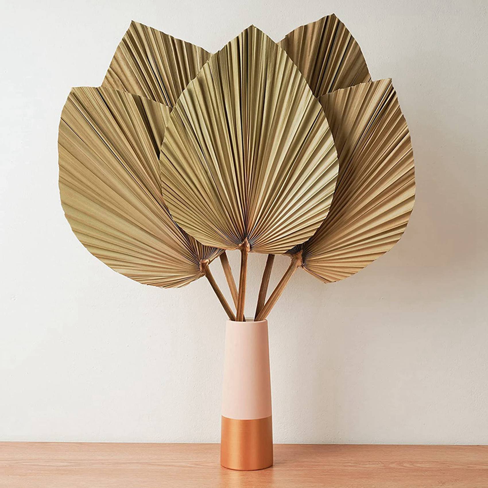 Hojas de Palma Secas para Deco - Palm Leaf Dried reseña y precio